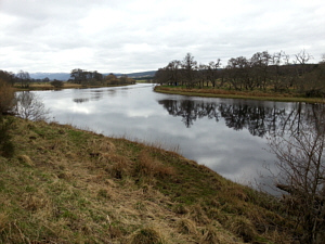 Frankie's Corner, River Spey, Abernethy