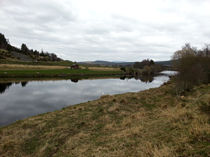 Nethy Pool, River Spey, Abernethy