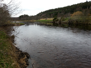 River Spey, Nethy Pool