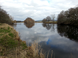 Above Lackghie Bend, River Spey, Abernethy