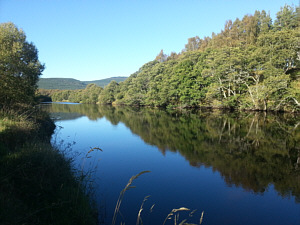 Bob Campbell's Pool