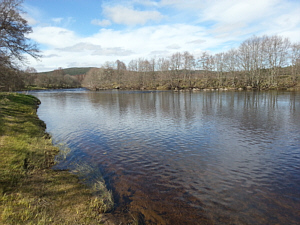 Corner Pool Tail, Abernethy Angling Association