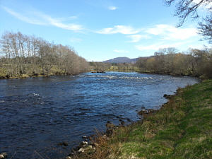 Abernethy Corner Pool