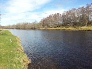 The Miller's Pool, Abernethy Angling Association