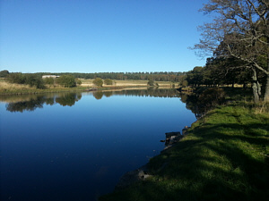 Downstream of the Lower Railway Pool, River Spey, Abernethy