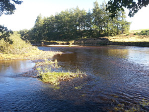 Fishing the Spey at Aviemore, above the Pike Pool