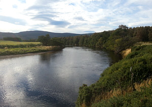 Fishing the Spey at Aviemore, the Alder Bend