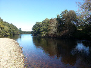 Fishing the Spey at Aviemore, Butcher's Burn Pool