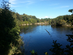 Fishing the Spey at Aviemore - Druie Pool