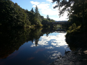 Fishing for sea trout and salmon the Spey at Aviemore