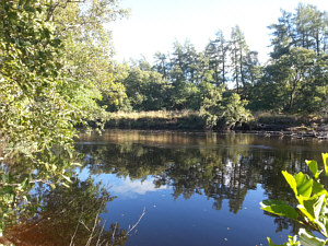 Fishing the Spey at Aviemore, the Pike Pool