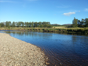 Fishing the Spey at Aviemore, Stoney Beach Pool