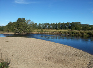 Sea Trout and Salmon fishing on the Spey at Aviemore, Stoney Beach Pool Tail