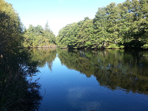 Fishing the Spey at Aviemore, the Temperance Pool