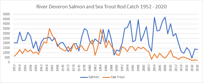River Deveron salmon and sea trout catches