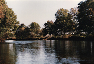 The River Earn below Crieff