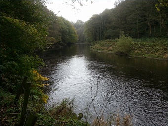 The River Wear