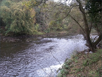 The River Wear below Durham