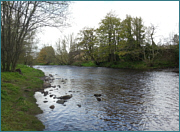 River Wear Fishing