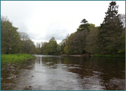 Fishing on the River Wear 