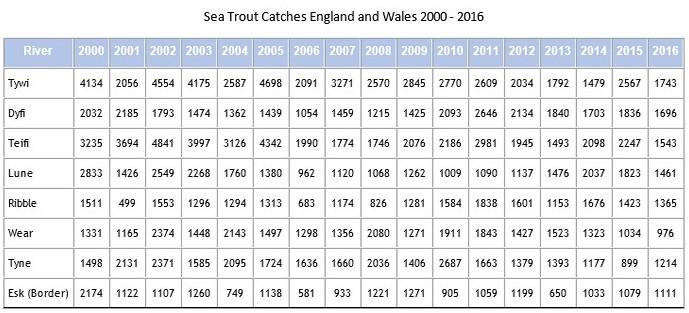 Sea Trout catches in England and Wales