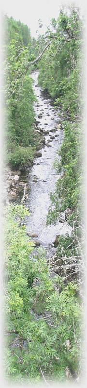 Sea Trout Fly Fishing