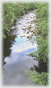 Sea Trout River