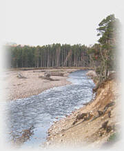 Seatrout Fly Fishing