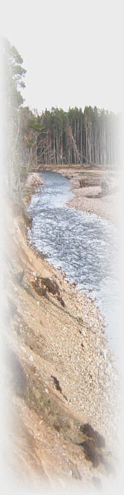 River angling for sea trout