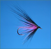 Black Hairwing sea trout fly