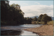 Sea Trout River Fishing