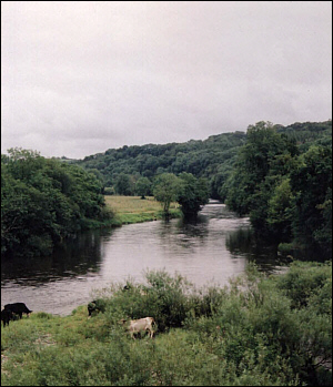 The River Towy