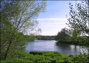 River Spey Sea Trout Fishing