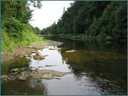 Sea Trout Fishing