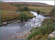 River Dionard Sea Trout Fishing