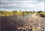 Sea Trout Fishing - Where to Fish