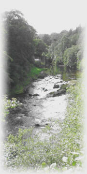 Seatrout angling