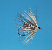 Sea Trout Fly