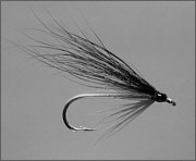 Sea Trout Fly at Night