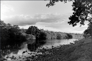 Sea trout wtaer on the Border Esk below Canonbie