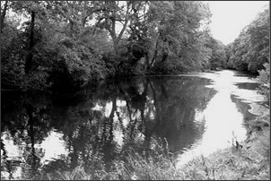 Sea Trout fishing on the Cumbrian Esk