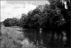 Llandeilo Angling Association sea trout pool on the River Towy