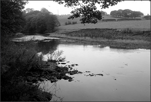 Sea trout pool on the River Wear below Durham