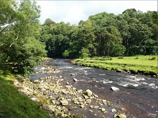 The River South Tyne
