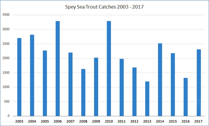 Spey Sea Trout Catch record