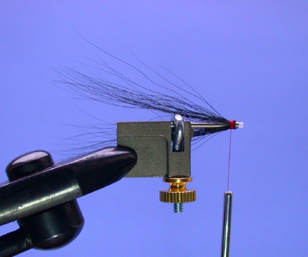 Dressing the Tingler tube fly- step 3