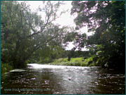 A Pool on the River Avon