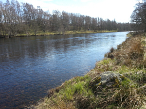 The Millers Pool, Abernethy