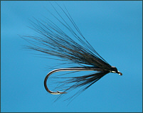 Black Hairwing Single 