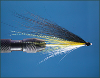 Black and Yellow Needle Tube Fly